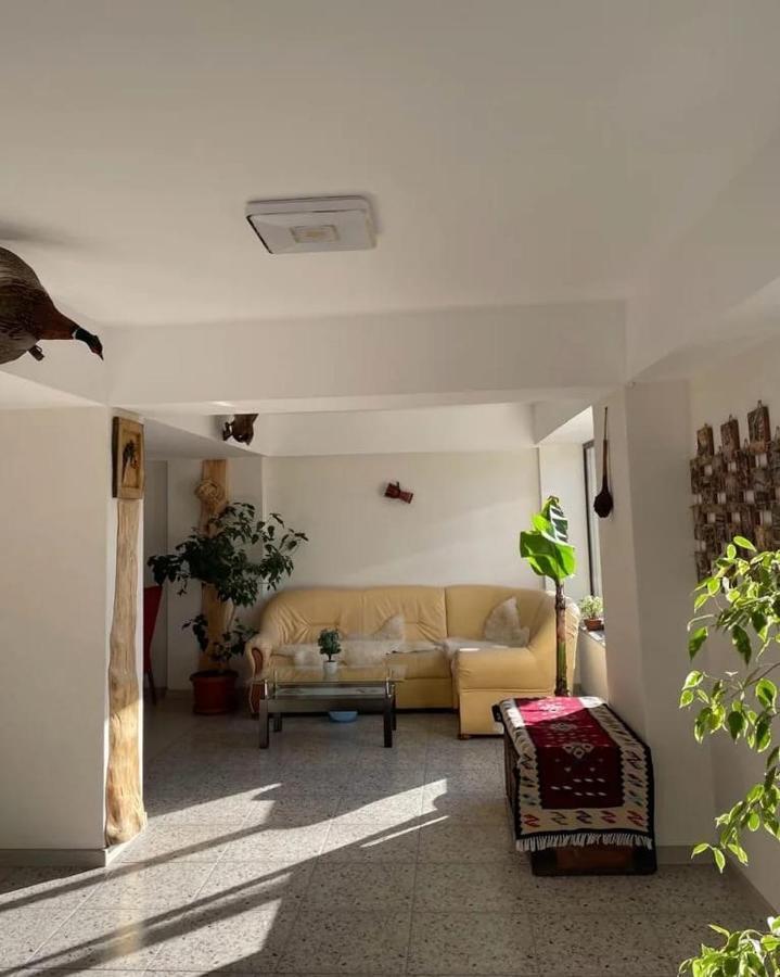 Casa De Vacanta Clara Maria Comarnic Exteriér fotografie